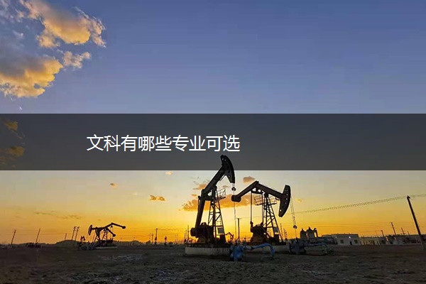文科有哪些专业可选