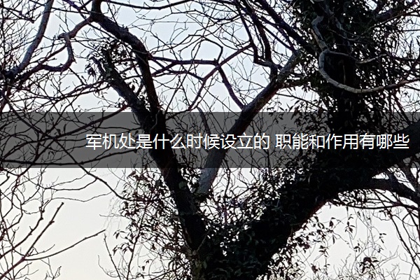 军机处是什么时候设立的 职能和作用有哪些
