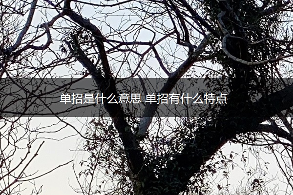 单招是什么意思 单招有什么特点
