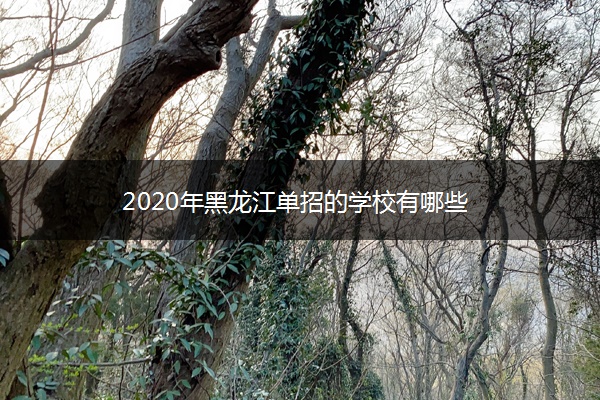 2020年黑龙江单招的学校有哪些