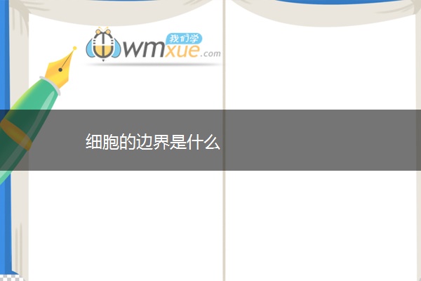 细胞的边界是什么