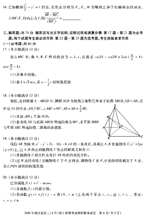 2020湖北高三调研考理科数学试题及答案