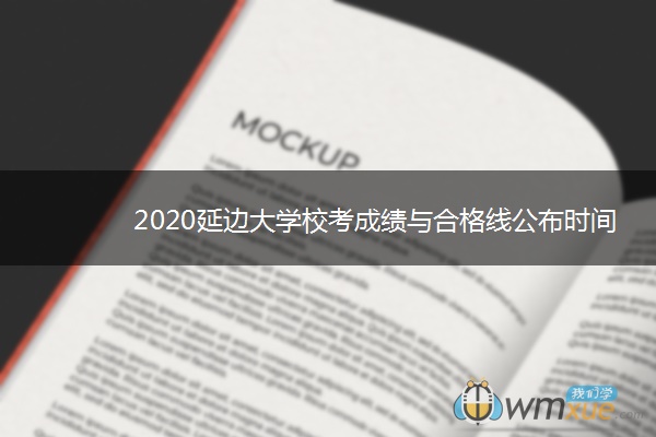 2020延边大学校考成绩与合格线公布时间