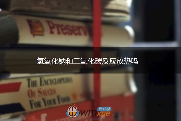 氢氧化钠和二氧化碳反应放热吗