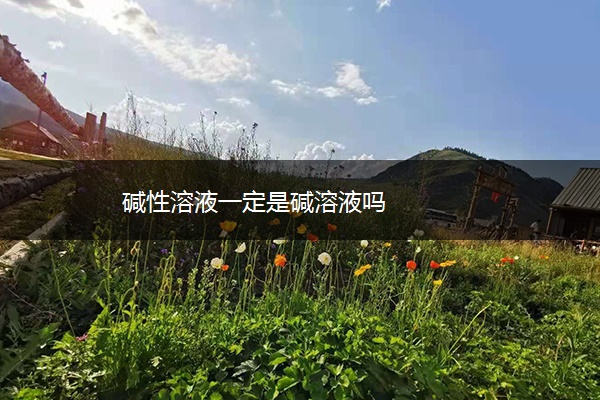 碱性溶液一定是碱溶液吗