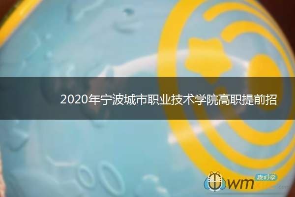 2020年宁波城市职业技术学院高职提前招生章程