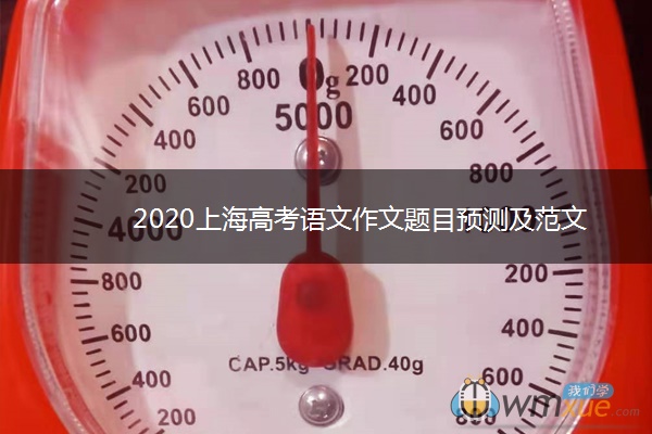 2020上海高考语文作文题目预测及范文