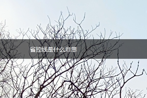 省控线是什么意思