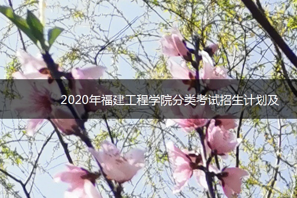 2020年福建工程学院分类考试招生计划及专业