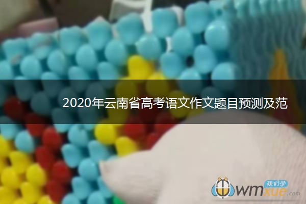 2020年云南省高考语文作文题目预测及范文
