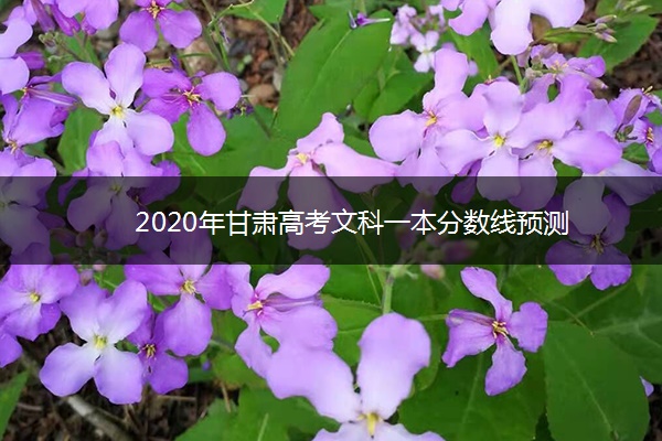 2020年甘肃高考文科一本分数线预测