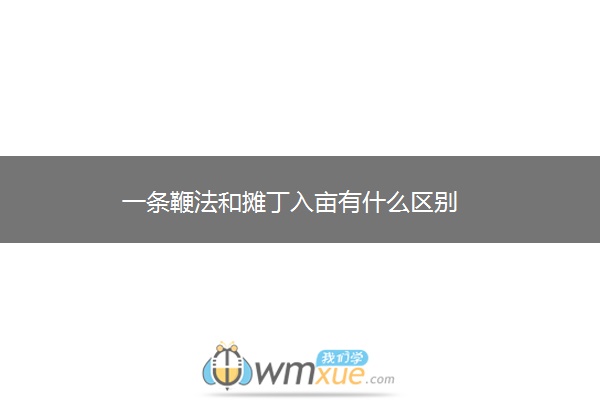 一条鞭法和摊丁入亩有什么区别