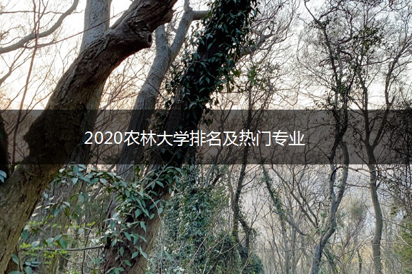2020农林大学排名及热门专业