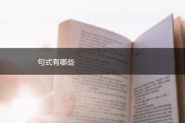 句式有哪些