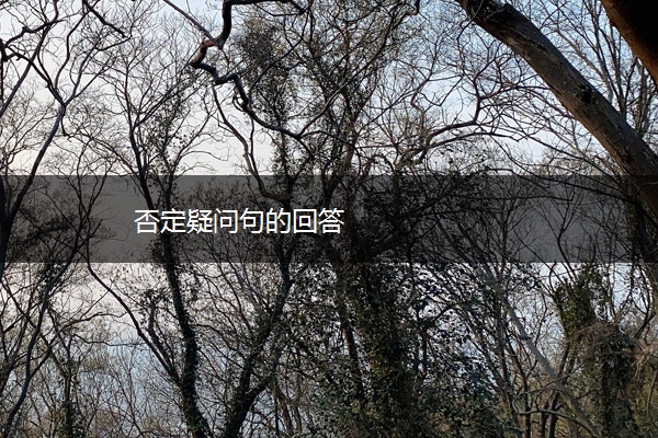 否定疑问句的回答