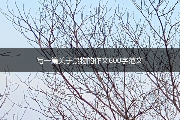 写一篇关于景物的作文600字范文