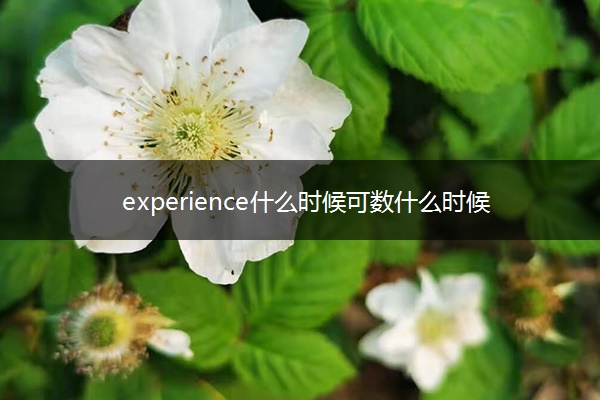 experience什么时候可数什么时候不可数