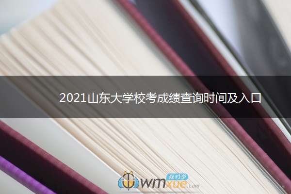 2021山东大学校考成绩查询时间及入口