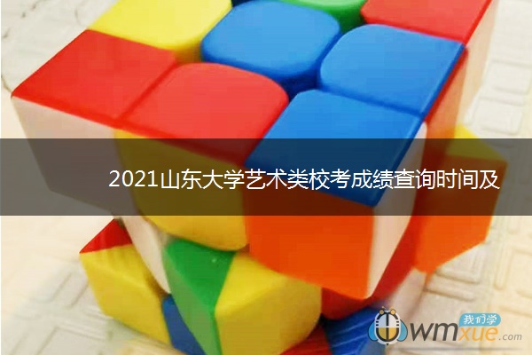 2021山东大学艺术类校考成绩查询时间及入口