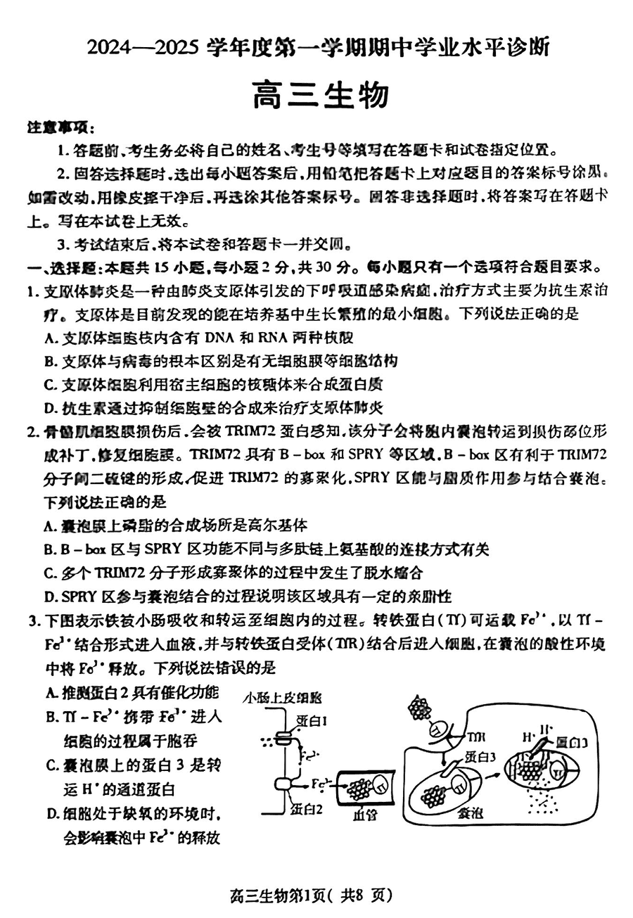 山东烟台2025届高三11月期中学业水平诊断生物试题及答案