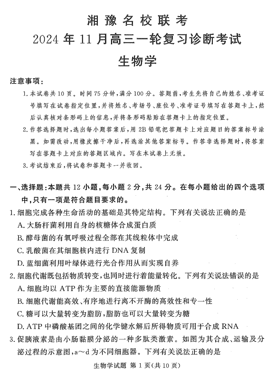 湘豫名校联考2025届高三11月一轮复习生物试题及答案