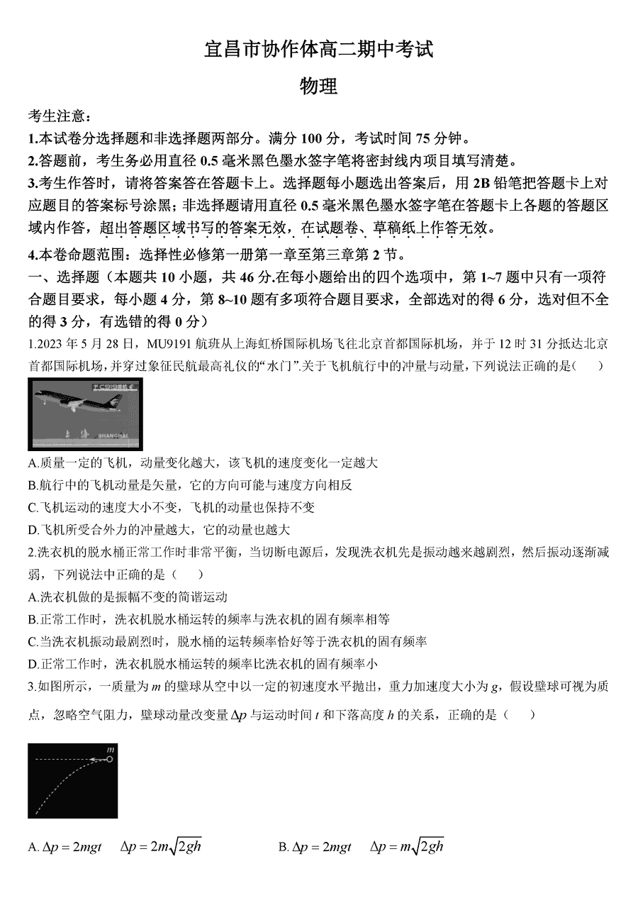 宜昌市协作体2024-2025学年高二上学期期中物理试题及答案