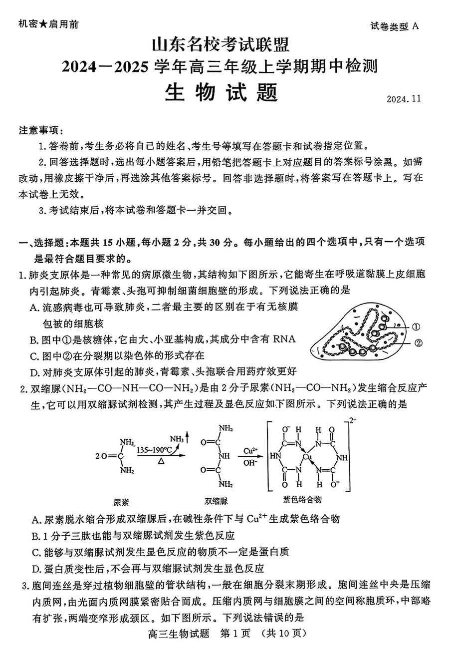 山东名校考试联盟2025届高三期中检测生物试题及答案