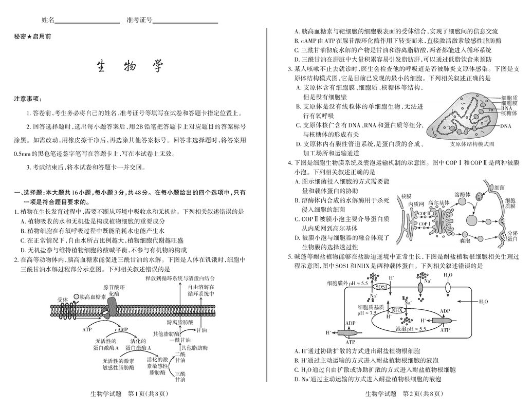 山西思而行2025届高三备考核心模拟中期生物试题及答案