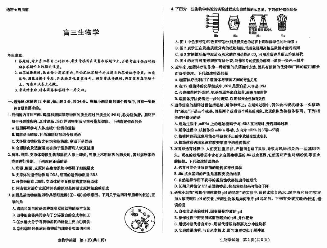 湖南天一大联考2025届高三上学期11月联考生物试题及答案