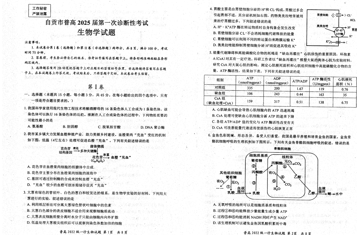 四川自贡普高2025届高三第一次诊断性考生物试题及答案