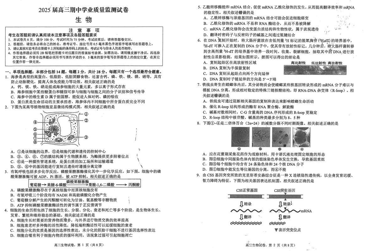 海安高级中学2025届高三上学期期中生物试题及答案