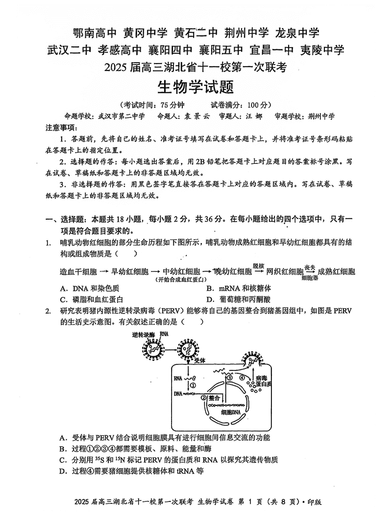 湖北十一校2025届高三12月第一次联考生物试题及答案