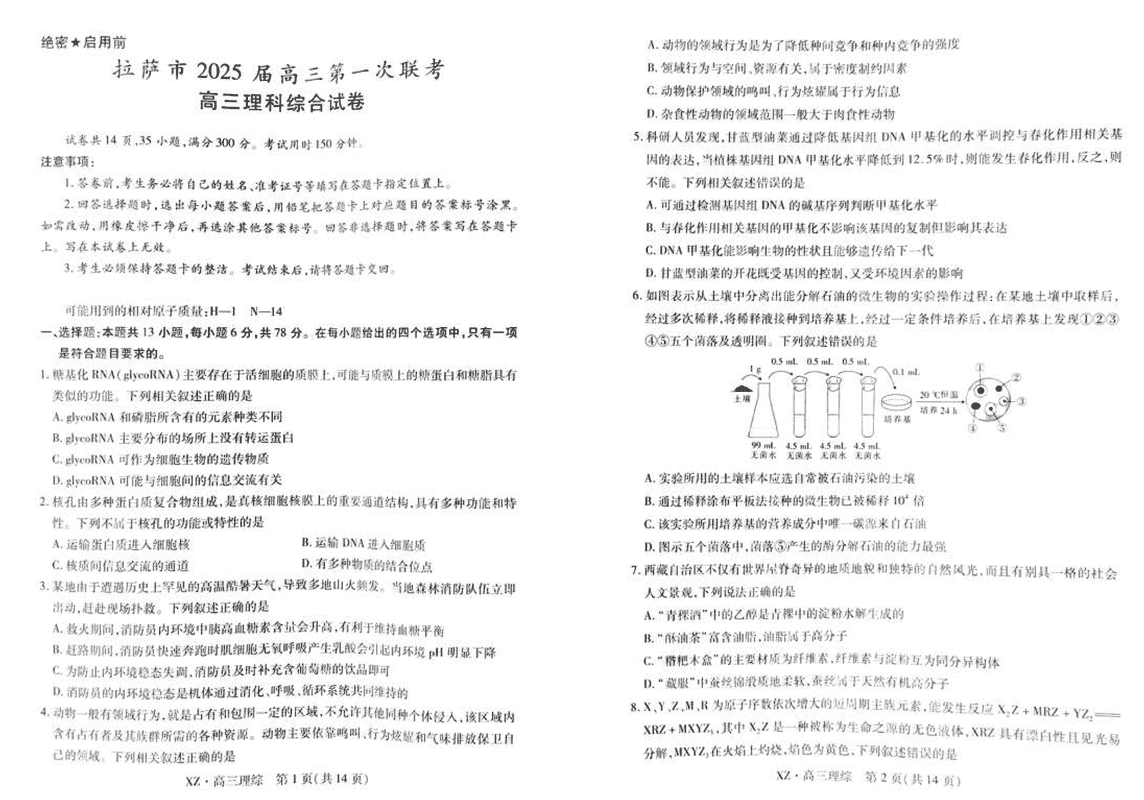 2025届西藏拉萨高三一模理综试题及答案