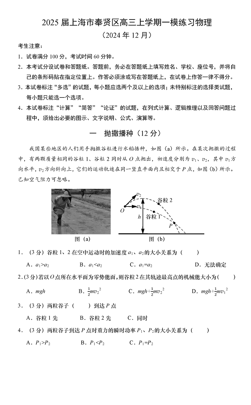 上海市奉贤区2025届高三上学期一模物理试题及答案