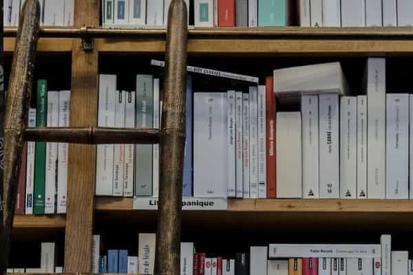 山东管理学院各省最低录取分数线及位次排名 2025考多少分能上山东管理学院