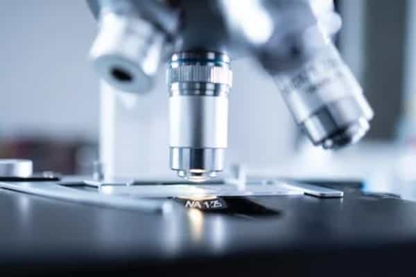 2026福建高考多少分能上鲁东大学及专业?最低488分附录取分数线