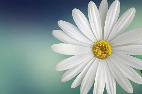 2026贵州高考多少分能上湖南商务职业技术学院及专业?最低314分附录取分数线