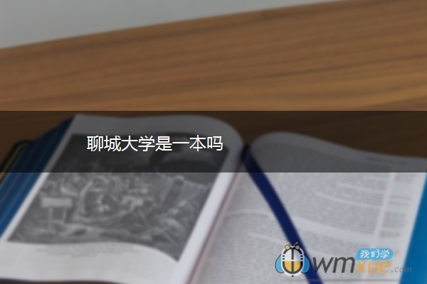 聊城大学是一本吗