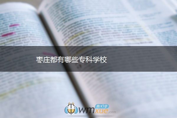 枣庄都有哪些专科学校