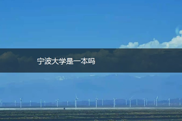 宁波大学是一本吗