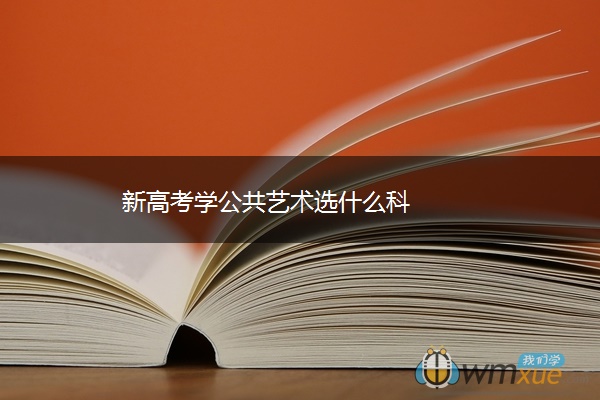 新高考学公共艺术选什么科
