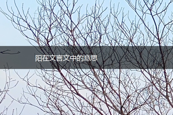 阳在文言文中的意思
