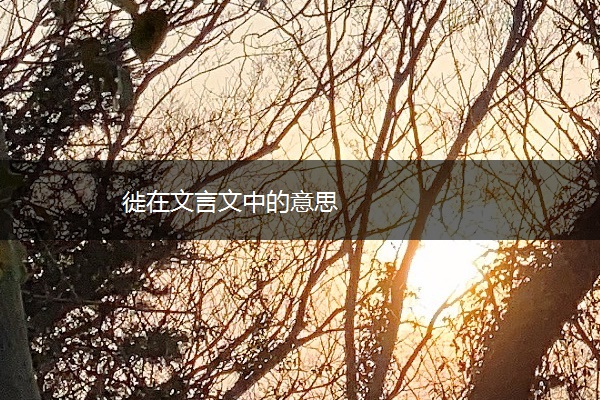 徙在文言文中的意思