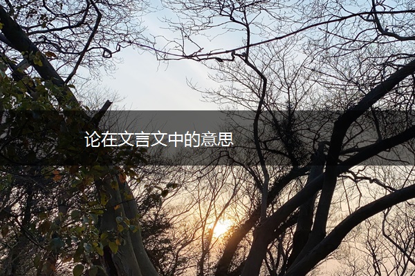 论在文言文中的意思