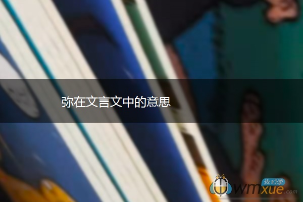 弥在文言文中的意思