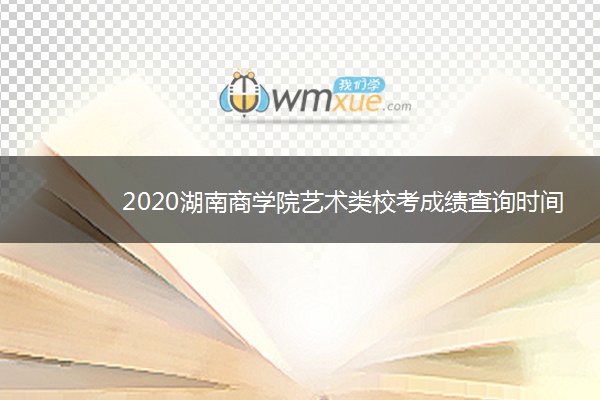 2020湖南商学院艺术类校考成绩查询时间及入口