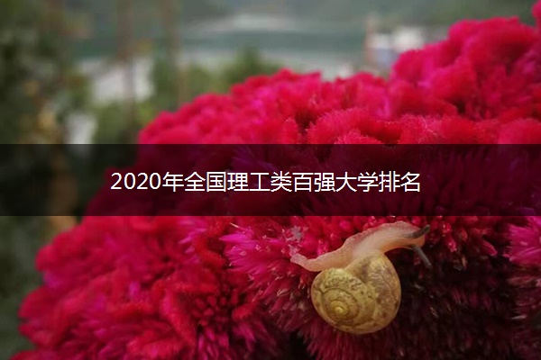 2020年全国理工类百强大学排名