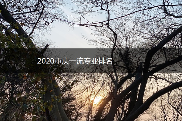 2020重庆一流专业排名