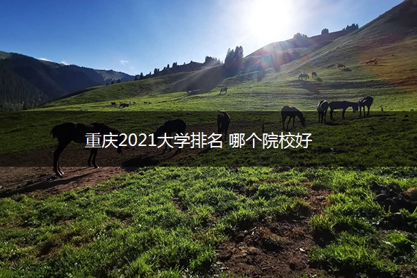 重庆2021大学排名 哪个院校好