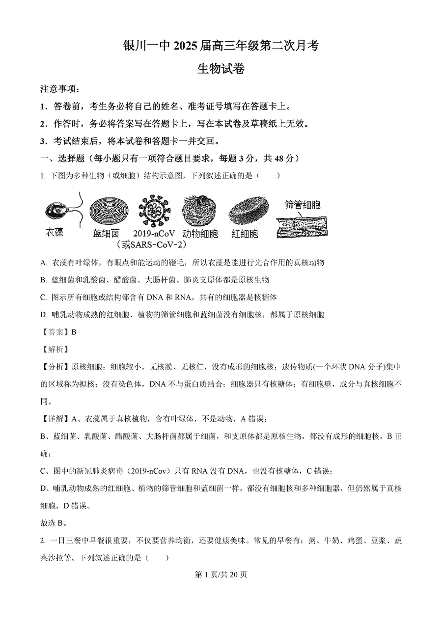 宁夏银川一中2025届高三上学期第二次月考生物试题及答案